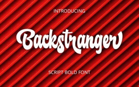 Backstranger-Bold-Script-Font-1.jpg