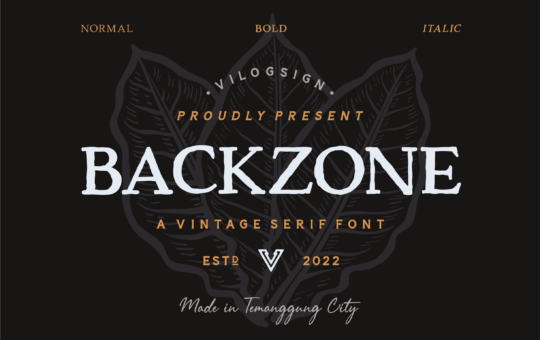 Backzone-Serif-Font-1.png