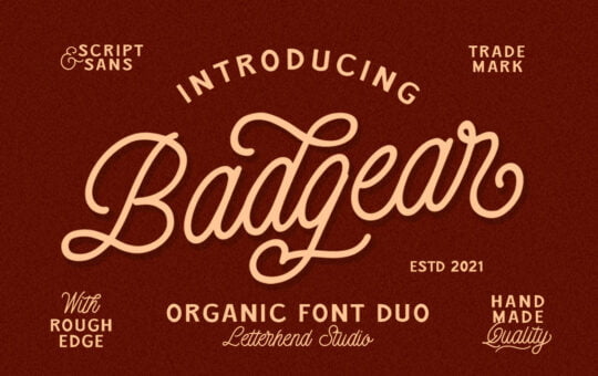 Badgear-Modern-Script-Font-1.jpg