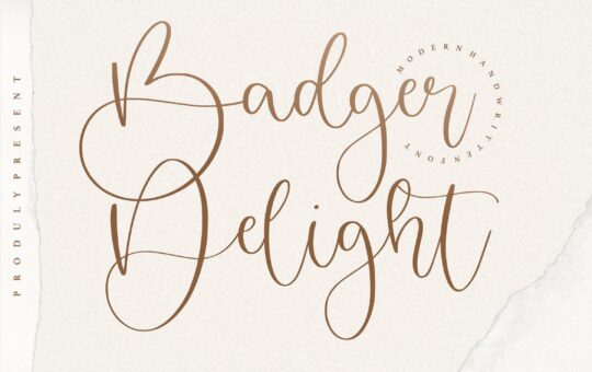 Badger-Delight-Modern-Monoline-Script-Font-1.jpg