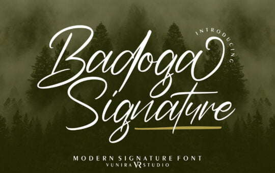 Badoga-Signature-Script-Font-1.jpg