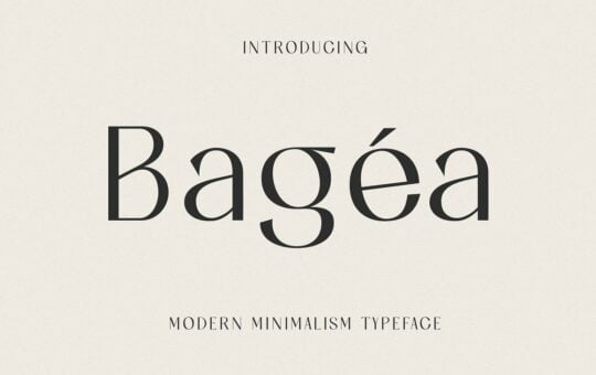 Bagea-Font.jpg