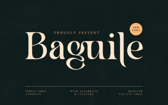 Baguile-Serif-Font-1.jpg