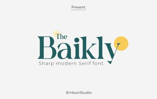 Baikly-Modern-Serif-Font-1.jpg