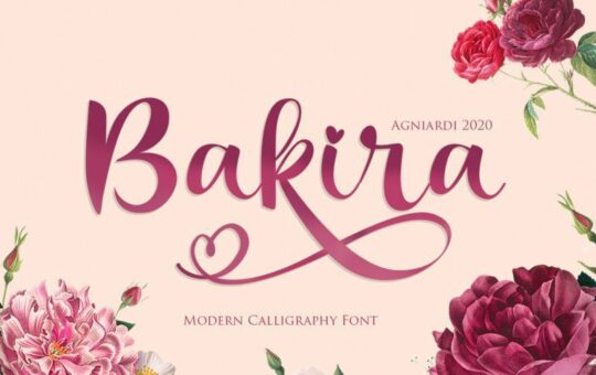 Bakira-Modern-Calligraphy-Font.jpg