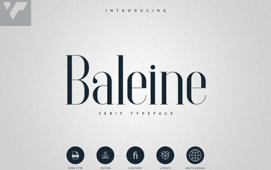 Baleine-Serif-Typeface-1.jpg