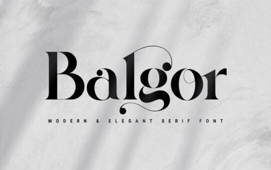 Balgor-Modern-Elegant-Serif-Font-1.jpg