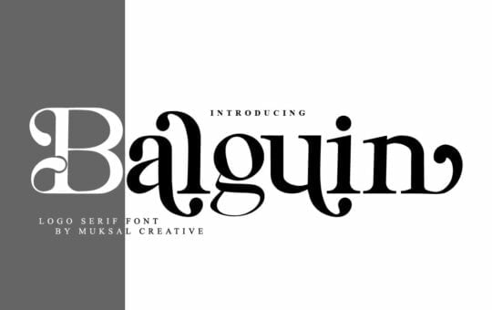 Balguin-Modern-Serif-Font-1.jpg