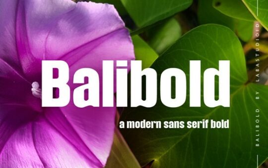 Balibold-Sans-Serif-Typeface.jpg