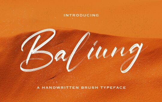 Baliung-Script-Brush-Font-1.jpg