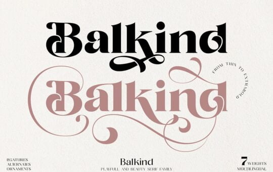 Balkind-Serif-Font.jpg