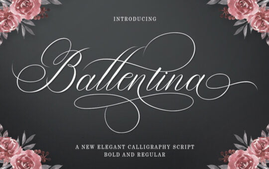 Ballentina-Script-Calligraphy-Font-1.jpg