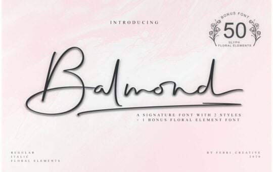 Balmond-Handwritten-Signature-Font.jpg
