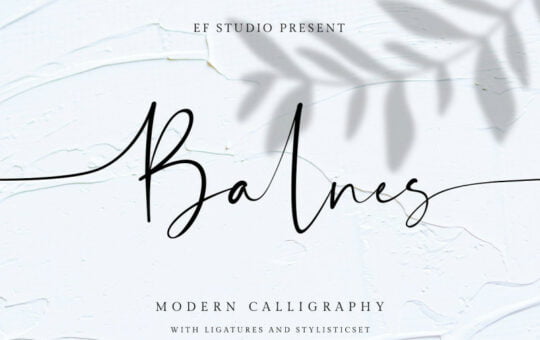 Balnes-Modern-Script-Font.jpg