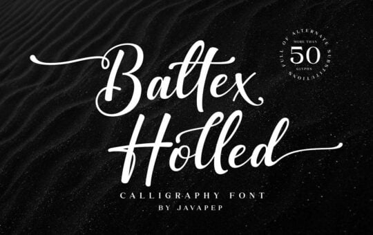 Baltex-Holled-Font.jpg