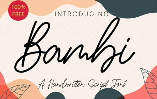 Bambi-Handwritten-Script-Font-1.jpg