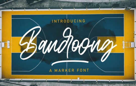 Bandoong-Modern-Script-Font-1.jpg