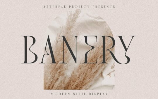 Banery-Font.jpg