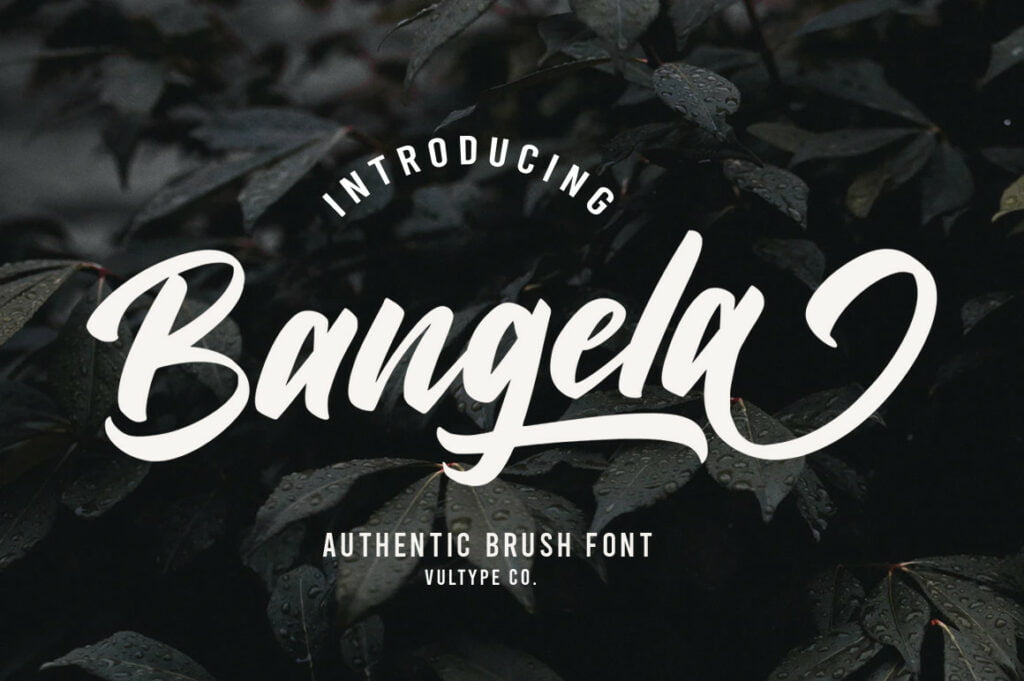 Bangela-Brush-Script-Font-1.jpg