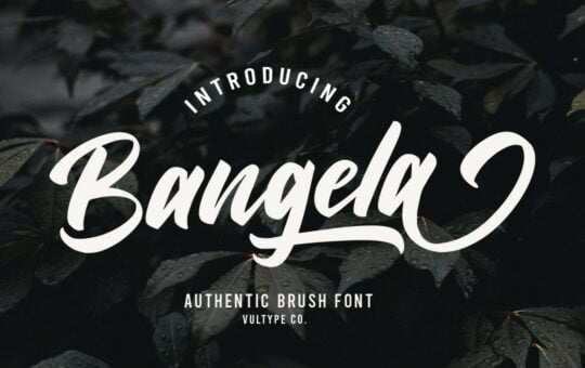 Bangela-Brush-Script-Font-1.jpg