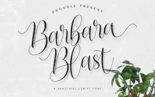 Barbara-Blast-Handwritten-Font-1.jpg