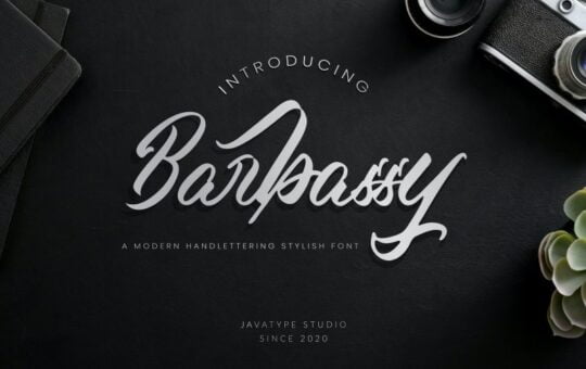 Barbassy-Modern-Handwritten-Font-1.jpg