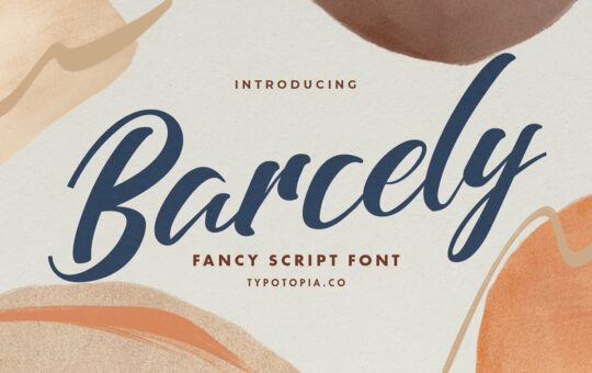Barcely-Fancy-Script-Font.jpg