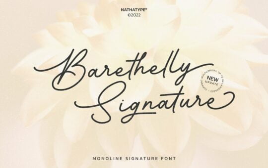 Barethelly-Signature-Font.jpg