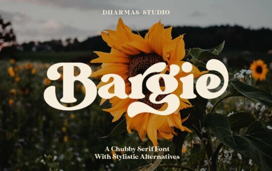 Bargie-Serif-Font-1.jpg