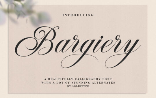Bargiery-Bautiful-Calligraphy-Font-1.jpg