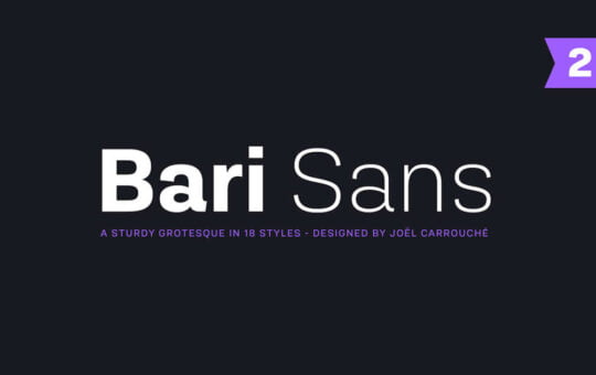 Bari-Sans-Serif-Font-Family-1.jpg