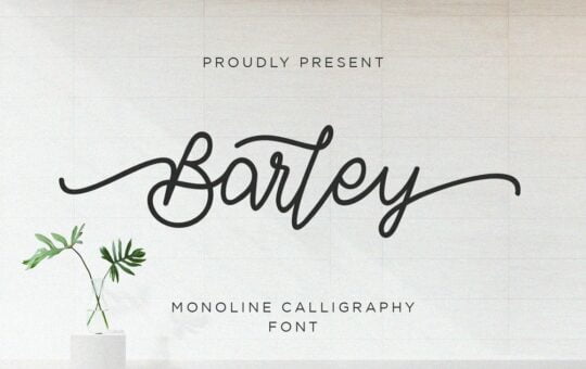 Barley-Monoline-Calligraphy-Font-1.jpg