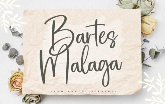 Bartes-Malaga-Calligraphy-Script-Font-1.jpg