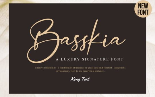 Basskia-Font.jpg