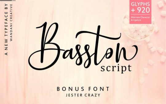 Basston-Script-Font-Duo.jpg