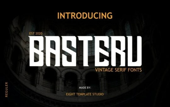 Basteru-Vintage-Serif-Font-1.jpg