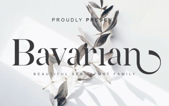 Bavarian-Beautiful-Serif-Font-1.jpg