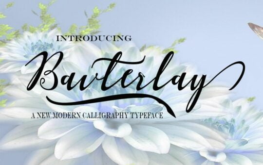 Bavterlay-Font.jpg