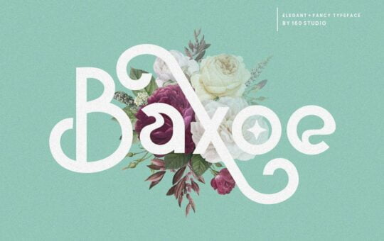 Baxoe-Sans-Fancy-Typeface-1.jpg