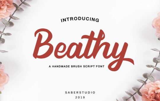 Beathy-Modern-Script-Font-1.jpg