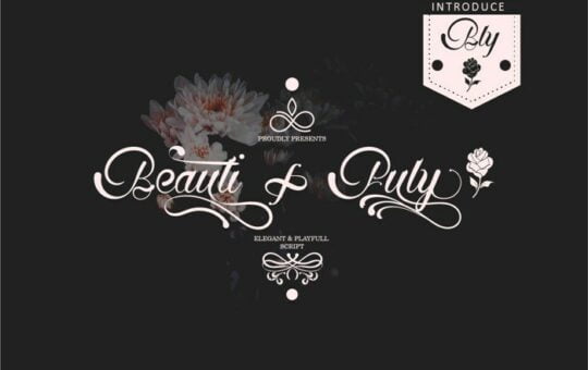 Beatifuly-Font.jpg