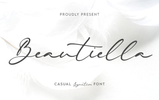 Beautiella-Casual-Signature-Font-1.jpg