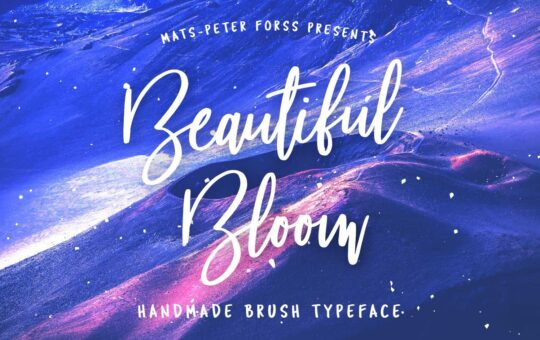 Beautiful-Bloom-Script-Typeface-1.jpg