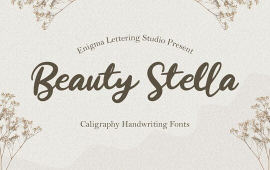 Beauty-Stella-Font.jpg