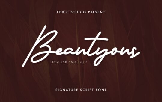 Beautyous-Signature-Script-Font-1.jpg