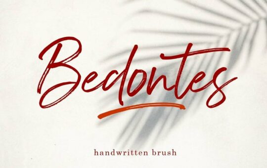 Bedontes-Handwritten-Brush-Font.jpg