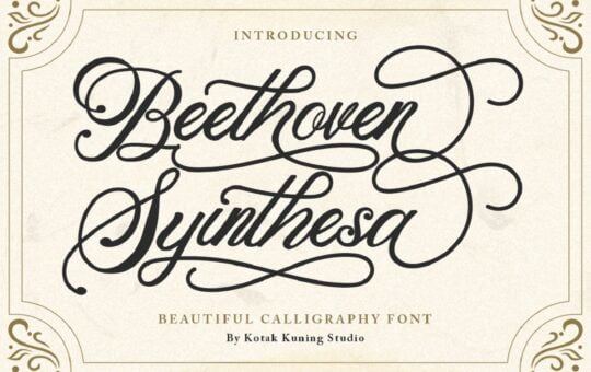 Beethoven-Syinthesa-Calligraphy-Font-1.jpg
