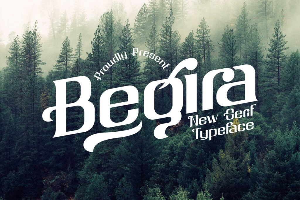 Begira-Modern-Serif-Typeface-1.jpg