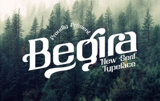 Begira-Modern-Serif-Typeface-1.jpg