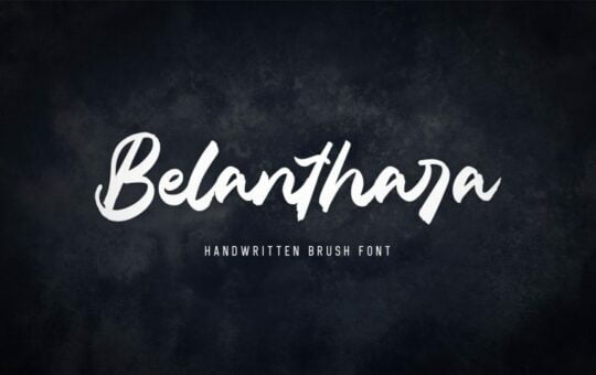 Belanthara-Script-Brush-Font-1.jpg
